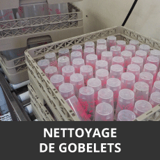 Nettoyage de gobelets en plastqiue réutilisables -Ulisse